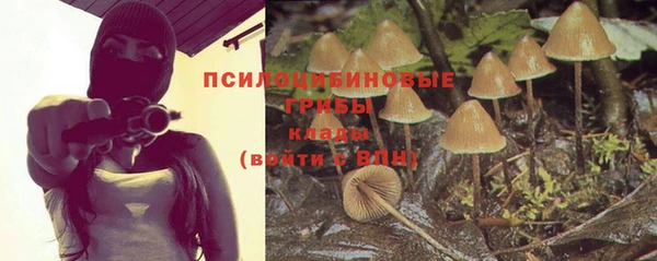 прущие крисы Балабаново